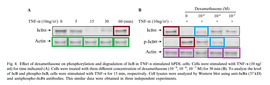 Fig4.png